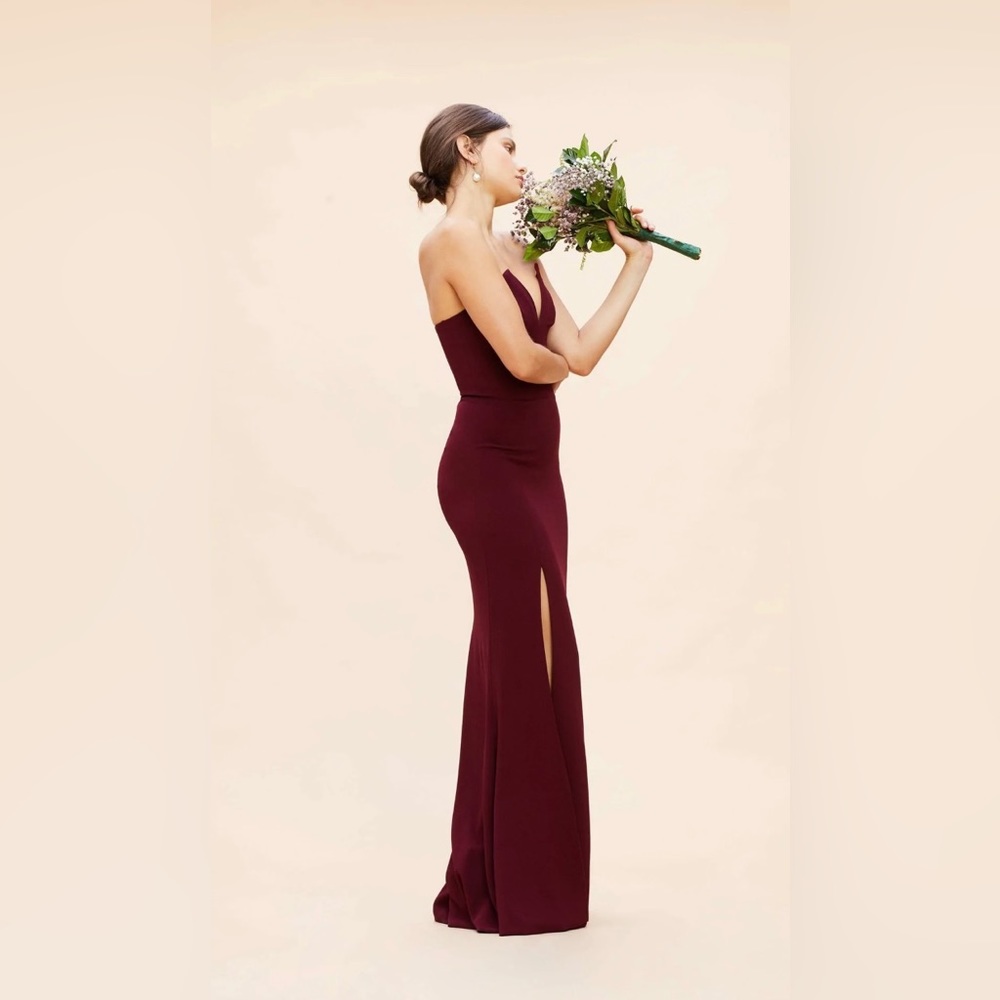 NWT Fernanda Dress the Population dress in Burgundy